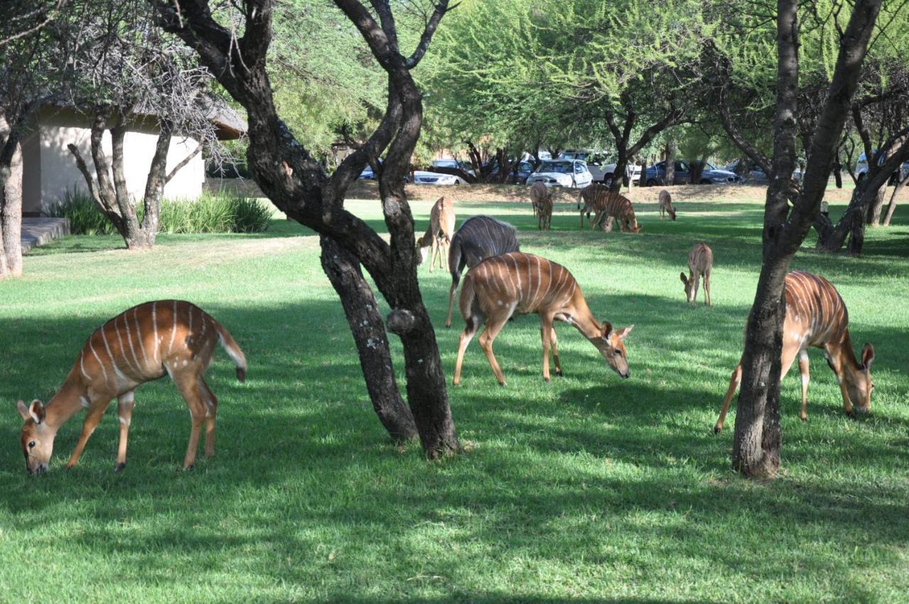 Rust de Winter Mongena Private Game Lodge מראה חיצוני תמונה
